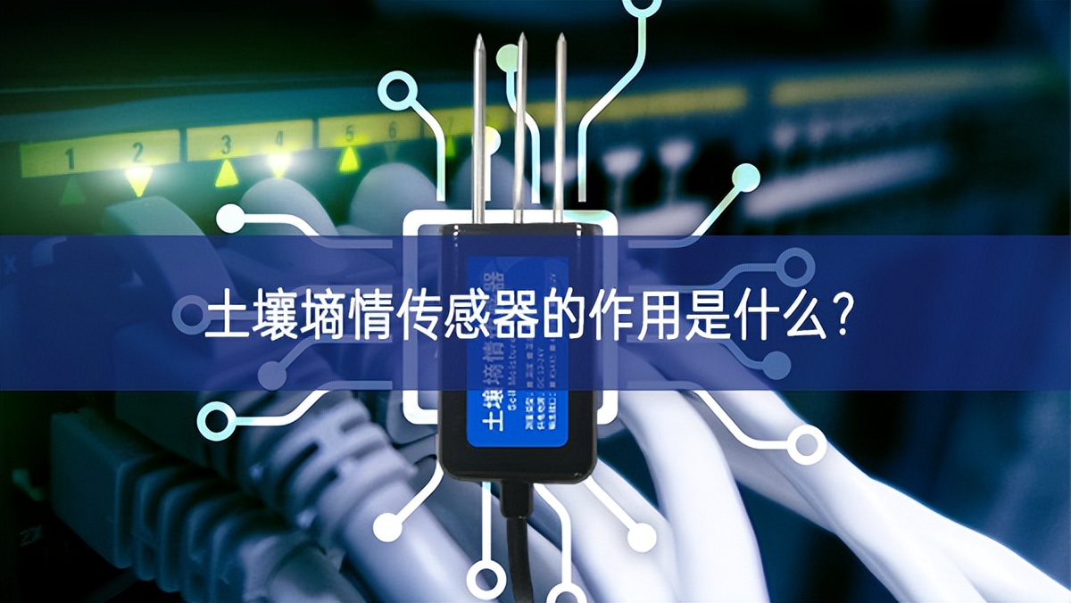 土壤墑情傳感器的作用是什么關註度？