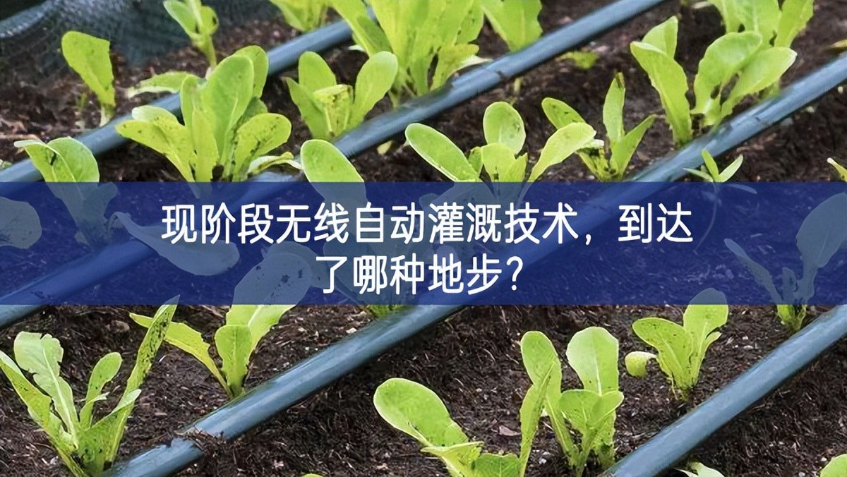 現(xiàn)階段無(wú)線自動(dòng)灌溉技術(shù)，到達(dá)了哪種地步合作關系？