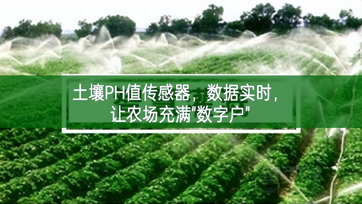 土壤PH值傳感器善謀新篇，數(shù)據(jù)實時推進高水平，讓農(nóng)場充滿"數(shù)字戶"
