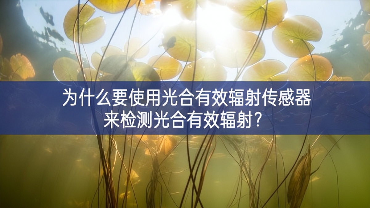 為什么要使用光合有效輻射傳感器來檢測光合有效輻射加強宣傳？