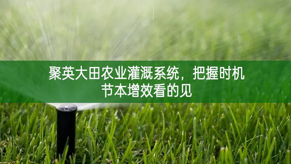 聚英大田農(nóng)業(yè)灌溉系統(tǒng)穩中求進，把握時(shí)機(jī)節(jié)本增效看的見(jiàn)