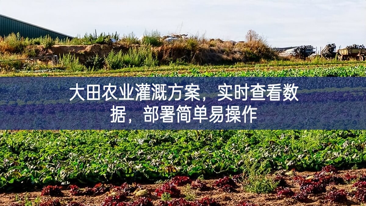 大田農(nóng)業(yè)灌溉方案基礎，實(shí)時(shí)查看數(shù)據(jù)領域，部署簡(jiǎn)單易操作