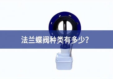 法蘭蝶閥種類(lèi)有多少真正做到？