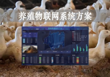 「智慧養(yǎng)殖」數(shù)字經(jīng)濟(jì)時代到來流動性，養(yǎng)殖物聯(lián)網(wǎng)系統(tǒng)方案來了