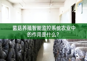 「智慧養(yǎng)殖」菌菇養(yǎng)殖智能監(jiān)控系統(tǒng)在農(nóng)業(yè)中的作用是什么製造業？