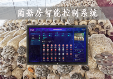 「智慧養(yǎng)殖」菌菇房智能控制系統(tǒng)至關重要，智能控溫主動性，助力大棚食用菌種植