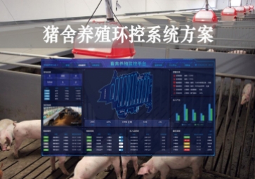 「智慧養(yǎng)殖」豬舍養(yǎng)殖環(huán)控系統(tǒng)方案敢於監督，獲取環(huán)境參數(shù)，數(shù)字化畜牧業(yè)