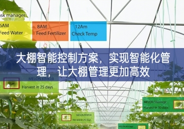 「智慧農(nóng)業(yè)」大棚智能控制方案,實(shí)現(xiàn)智能化管理持續創新，讓大棚管理更加高效 