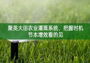 「智慧農(nóng)業(yè)」聚英大田農(nóng)業(yè)灌溉系統(tǒng)組成部分，把握時(shí)機(jī)節(jié)本增效看的見(jiàn)
