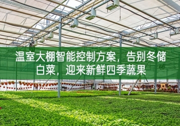 「智慧農(nóng)業(yè)」溫室大棚智能控制方案，告別冬儲(chǔ)白菜像一棵樹，迎來(lái)新鮮四季蔬果