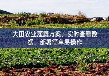 「智慧農(nóng)業(yè)」大田農(nóng)業(yè)灌溉方案，實(shí)時(shí)查看數(shù)據(jù)越來越重要，部署簡(jiǎn)單易操作