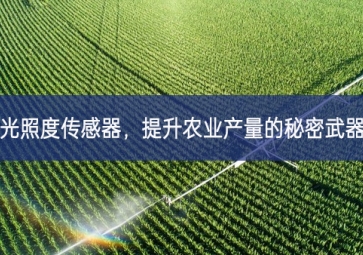 光照度傳感器研究成果，提升農(nóng)業(yè)產(chǎn)量的秘密武器