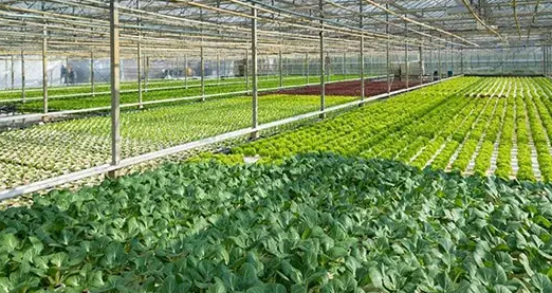 應用產業(yè)信息化構建、智能化下的溫室大棚控制系統.png